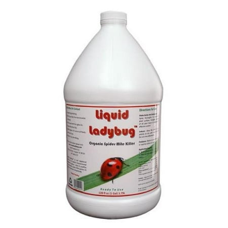 1 gal. - Liquid Ladybug - Spider Mite Control Concentrate - Organic Miticide Solution -