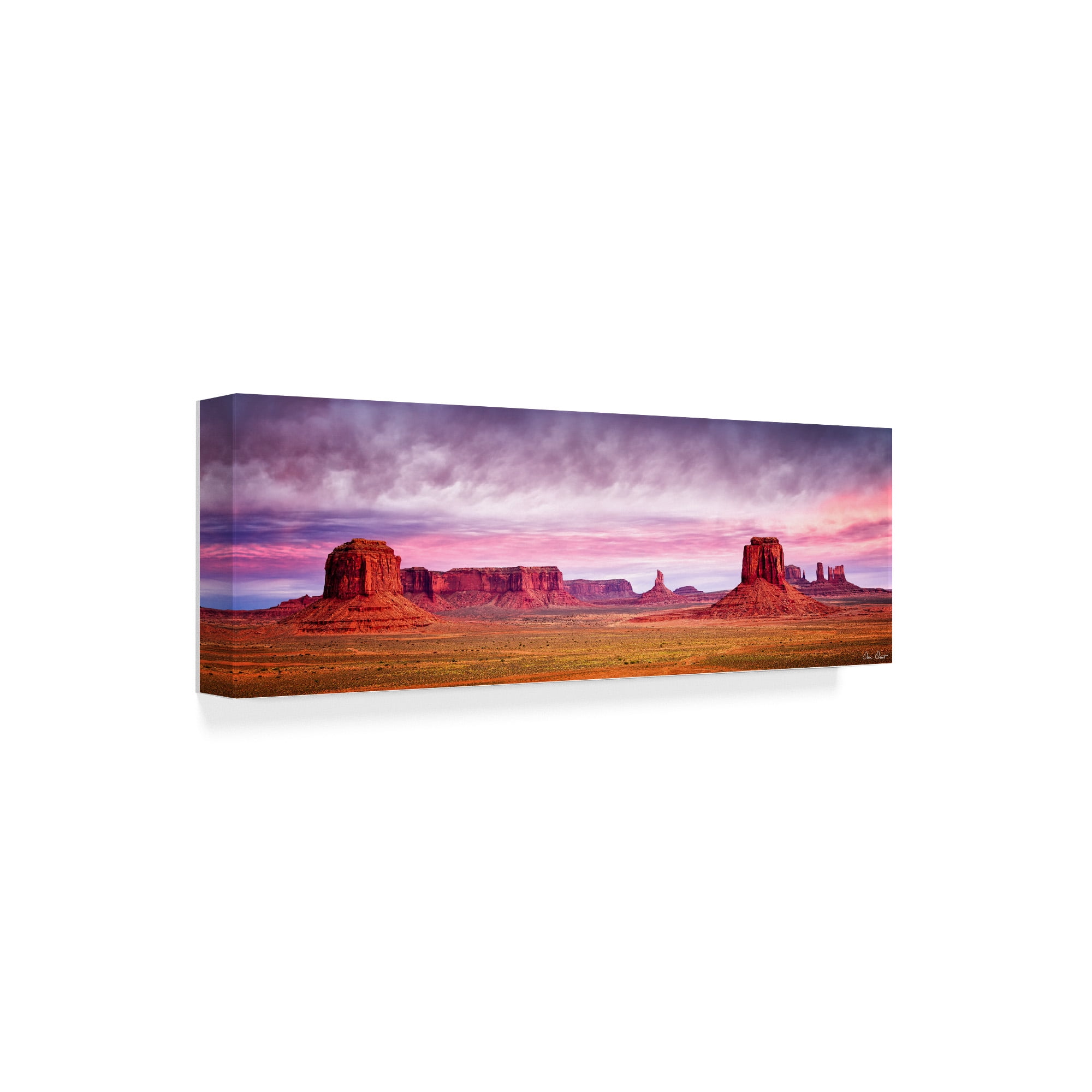 Trademark Fine Art 'Pink Morning Glory V' Canvas Art by David Drost