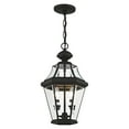 thumbnail image 6 of Livex Lighting 2265-01 Georgetown 2 Light Outdoor Chain Hang,Antique Brass, 6 of 6