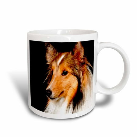 3dRose Sheltie Shetland SheepDog, Ceramic Mug, 15-ounce