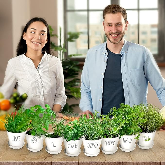 Deluxe Herb Garden Kit - 8 Variety Herbs for Indoor & Outdoor – Get Growing with Pots, Potting Soil for Window Herb Garden. (8 Set Deluxe herb kit)
