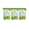 NurturMe Quinoa Square Yummy Organic Baby Snacks Pack: Pineapple + Spinach, Resealable Pouch (3 Pack)