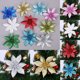 thumbnail image 1 of 10Pcs Christmas Glitter Artificial Poinsettia Flowers Xmas Poinsettia Artificial Wedding Flowers Decorations Xmas Tree Ornaments for Party Favors, 3.6inch, 1 of 4