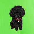 thumbnail image 3 of CafePress - Poodle Pup (Blk) Light T Shirt - Light T-Shirt - CP, 3 of 4