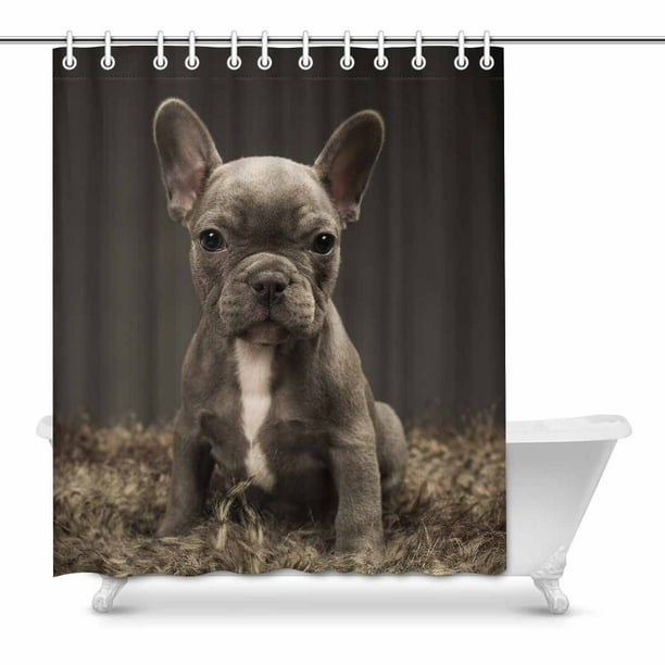 French bulldog bathroom accessories discount