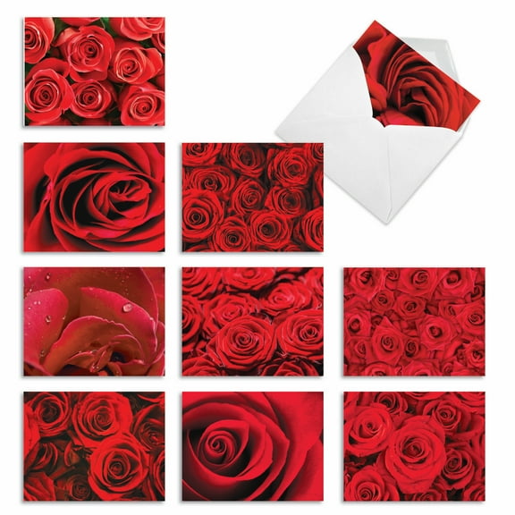 10 Pack All Occasion Blank Note Cards With Envelopes - Roses Are Red