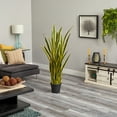 thumbnail image 2 of Nearly Natural 5' Plastic Sansevieria Artificial Plant, Green, 2 of 4