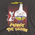 thumbnail image 2 of Pinky and The Brain Lab Flask Women's T Shirt, Charcoal, X-Large, 2 of 6
