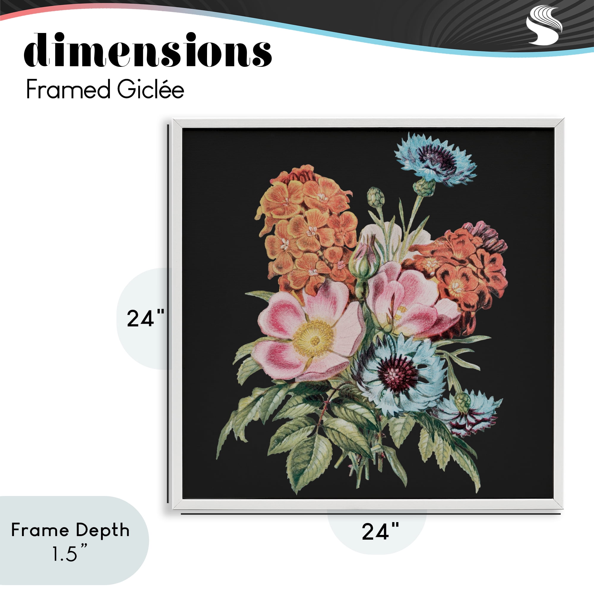 Stupell Industries Vintage Bouquet Study over Black White Framed Giclee Art, design by Dan Meneely