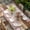 Brown, Pink, variant on Pink Brown Vintage Table Cloths for 4 Foot Rectangle Tables, Retro Farmhouse Elegant Pastoral Patio Waterproof Elastic Fitted Tablecloths, Washable Rectangular Table Cover for Camping