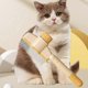 thumbnail image 2 of Knotting Hair Removal Cat Comb Pet Self-Cleaning Detangling Comb, 2 of 4