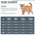 thumbnail image 3 of ROZKITCH Sticky Cat Clothes Soft Cat Recovery Suit Stretchy Cat Onesie - Hair Loss Prevention Prevents Licking Body and Leg Wounds After Surgery, Grey, S, 3 of 8