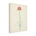 thumbnail image 2 of Unknown 'Watercolor Botanical Sketches XI' Canvas Art, 2 of 3
