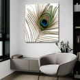 thumbnail image 4 of Epic Art 'Peacock Feather 01' by Tom Quartermaine, Acrylic Glass Wall Art, 36"x36", 4 of 8