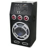 Supersonic 15" Professional 2-Way Speaker with BT Technology