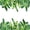 Clear, variant on Nanqianyi Tropical Monstera Leaf Border Rectangle Tablecloth,Waterproof Table Cover For Summer Dining Outdoor Party Decor,52x70 Inch