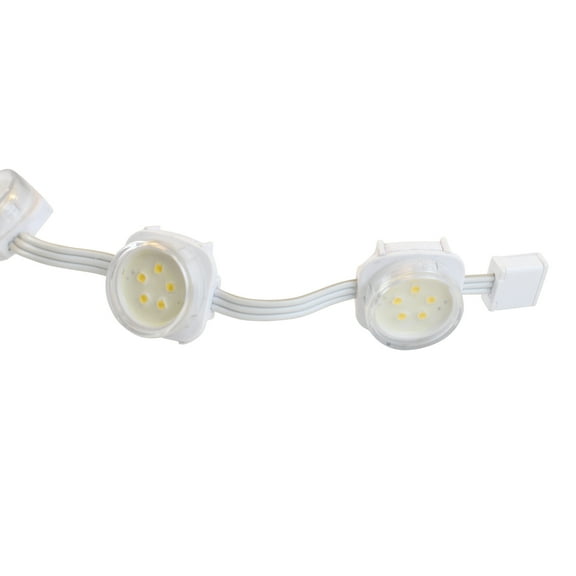 Color Kinetics 999-000368-00 eW Flex SLX Flexible LED Strands, 2700K, 3", 120V, White