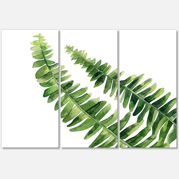 Designart ' Fern Plant Leaves Detail I ' Farmhouse Canvas Wall Art Print
