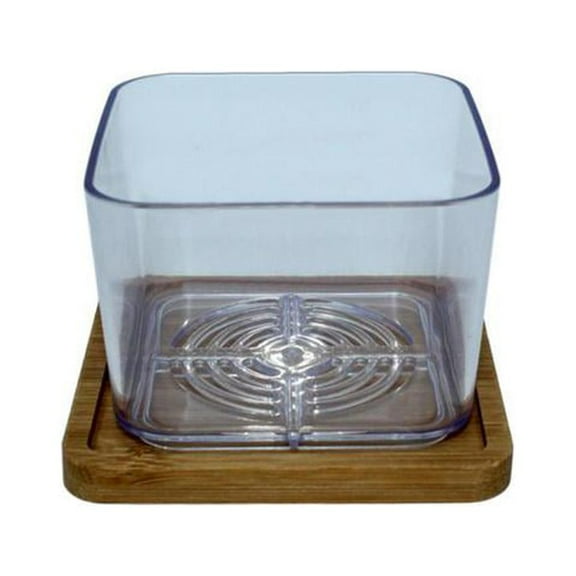 3" Clear Succulent Pot with Bamboo Saucer (6 Pack) by rePotme