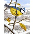 thumbnail image 1 of Carolines Treasures ASA2051CHF Eurasian Blue Tits Bird Flag Canvas House Size, 1 of 4