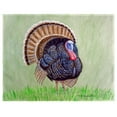 thumbnail image 1 of Betsy Drake PM512 Tapis de Lieu Dinde Sauvage - Lot de 4, 1 of 1