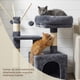 thumbnail image 5 of Feandrea Árbol para Gatos, Condominio Pequeño para Gatos, 72 cm, 3 Pompones, Gris Ahumado, 5 of 8
