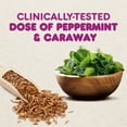 thumbnail image 3 of Pepto Herbal Blends, 100% Natural Peppermint Help Soothe Occasional Indigestion, 14 Softgels, 3 of 9
