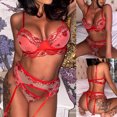thumbnail image 2 of Conjunto de lencería de malla exquisita para mujer, sujetador, liga y bragas, picardías, ropa de dormir recortada Fridja nalpqowj44391, 2 of 9
