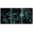 thumbnail image 3 of PixonSign Canvas Print Wall Art Set Green Schefflera Leaves Botanical Wilderness Photography Modern Art Contemporary Portrait Colorful Multicolor for Living Room, Bedroom, Office - 24"x36"x3, 3 of 5