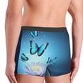thumbnail image 5 of Fotbe Butterflies And Waterlily In Water Men’s Total Support Pouch Boxer Briefs, X-Temp Cooling, Moisture-Wicking Underwear, Regular, Long-leg and Trunk-Large, 5 of 9