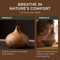 thumbnail image 4 of Gya Labs Pine Needle Essential Oils for Diffuser - (0.34 fl oz) - Fall Pine Essential Oil for Candle Making, 4 of 9