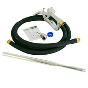 DuroStar DSTP20 12-Volt 20-Gpm Ball Bearing Cast Iron Fuel Transfer Pump
