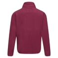 thumbnail image 4 of Regatta Great Outdoors Boys/Girls King II Lightweight Full Zip Fleece Jacket, 4 of 5