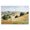 Serene Pastoral Mountain Landscape, variant on Stupell Industries Traditional Serene Twilight Meadow Canvas Art, 24 x 16, by Petals Prints Design