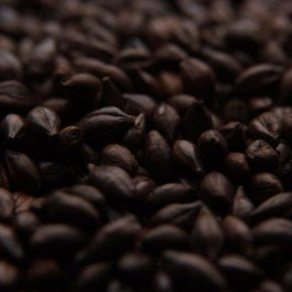 Crisp Roasted Barley Uncrushed Malt - 1 lb. Bag