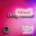 thumbnail image 4 of DEEP HOUSE MEGA Bundle Part 2 - 10 Large Essential WAVE Samples/Loop Studio Libraries. Download only!, 4 of 13