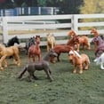 thumbnail image 6 of Safari Ltd. Horses TOOB - 12 Figurines Including Friesian, Stallion, Clydesdale, & more - Educational Toy Set for Boys, Girls & Kids Ages 3+, 6 of 6
