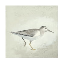 Kathrine Lovell 'Sea Birds III' Canvas Art