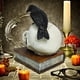 thumbnail image 5 of Fiudx Ofertas y liquidaciones Cuervos sobre calaveras Decoración del hogar Estantería de libros Decoración Cuervos posados sobre esqueletos Estatuas para mesa Escritorio Oficina Hogar, 5 of 6
