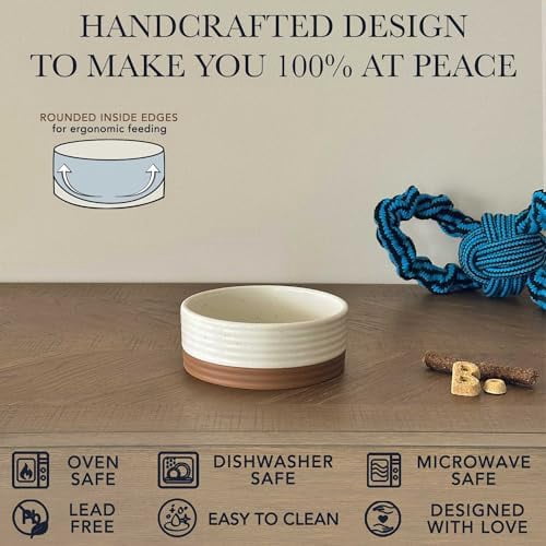 Ceramic Pet Bowl Size Small - Food/Water Dish for Puppy Dogs, Cats, Guinea Pig, Rabbit, Hamster, Snake, ect. 11oz or 2 Cups - Basic Bowls for Your Dog or Cat, Mix and Match for a Set - Vanillla