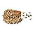 thumbnail image 3 of Areaware Petite Chose Casse-Tête : Durian, 3 of 4