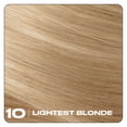 thumbnail image 2 of Clairol Nice'n Easy10 Permanent Hair Color Cream, 10 Lightest Blonde, Hair Dye, 1 Application, 2 of 8