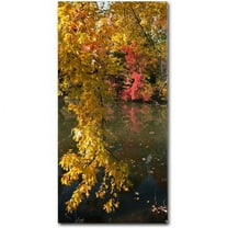 Trademark Fine Art "Autumn Branches" Canvas Art by Kurt Shaffer