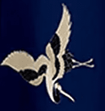 Drak Blue