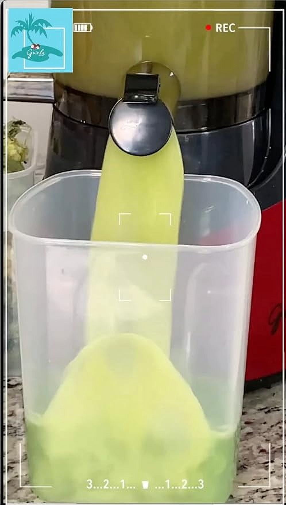 Guirla Premier Cold Press Juicer
