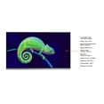 thumbnail image 3 of Boxlight ProColor863U Collaboration Display, 3 of 3