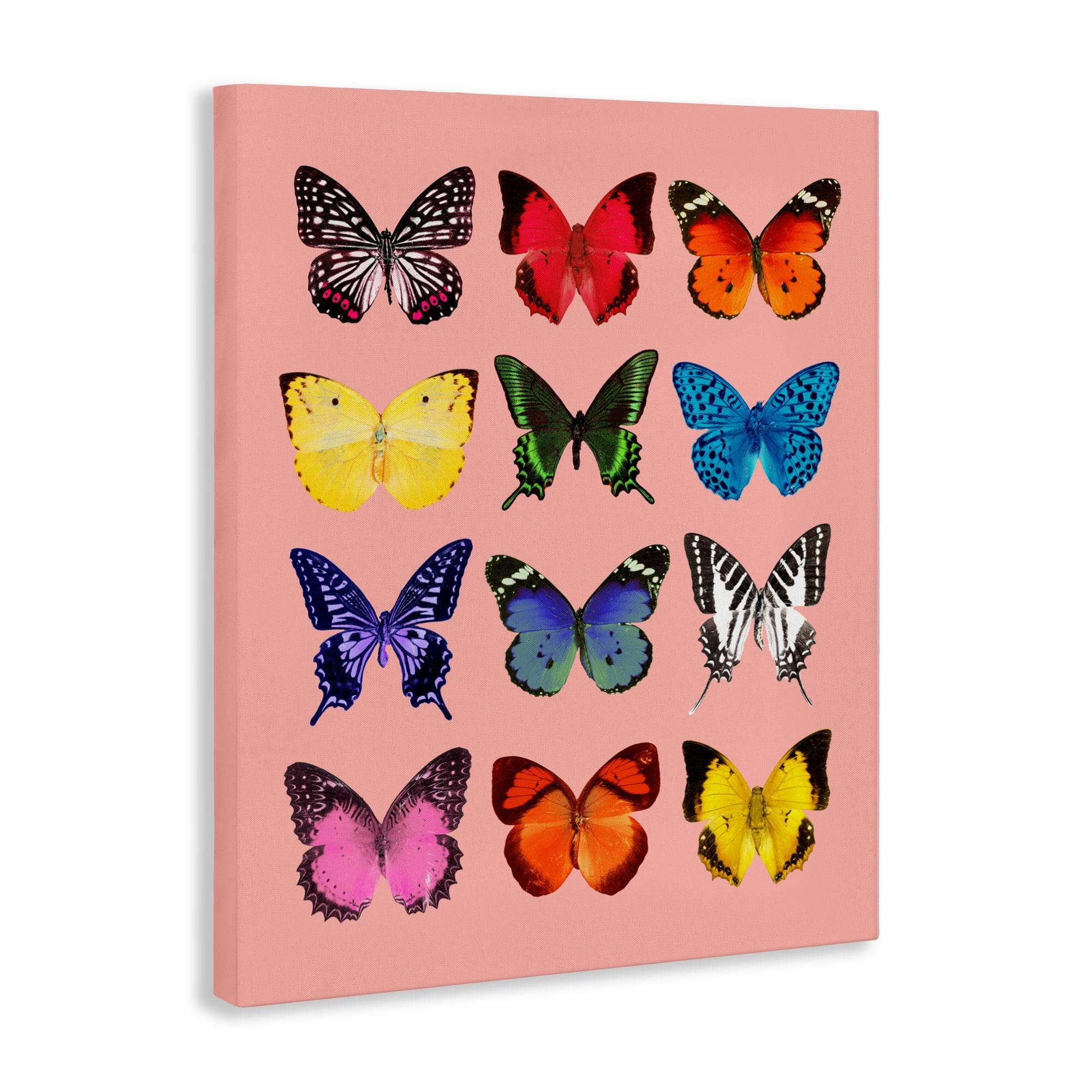 Butterfly Species on Pink Canvas Wall Art, design by LISH Creative