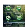 thumbnail image 5 of Sporebiotic Flora Mega, Gut Health, All Natural, Microbiome Support, High Potency Formula, Men and Women, Daily Supplement, 60 CT, 5 of 5