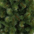 thumbnail image 2 of ARBOL DE NAVIDAD CALIFORNIA VERDE DE 160 CM NAVIPLASTIC PINO ARTIFICIAL, 2 of 3