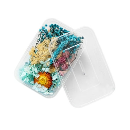 

Artificial Flowers 1 Box Real Dried Flower Resin Fillings Expoxy Flower For Epoxy Resin Jewelry Making Craft DIY Supplies Accessories (Forget Me Not)